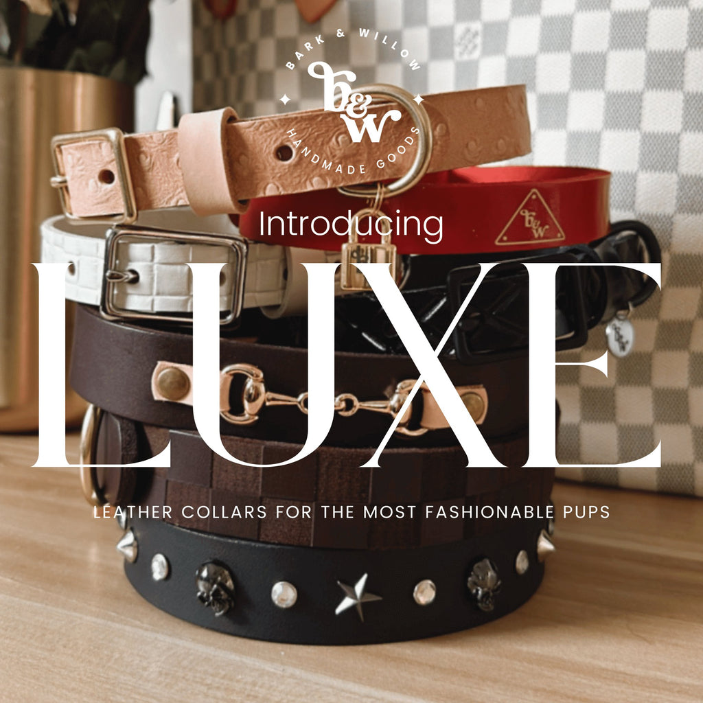 LUXE Collar Collection - Designer Inspired Dog Collars, Luxury Dog Collars