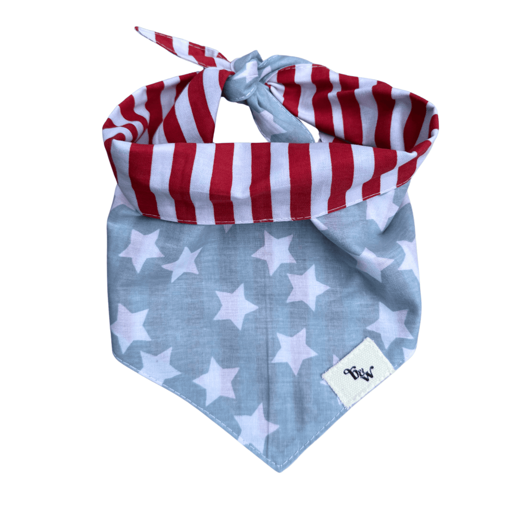 Barkin' in the USA Bandana - Bark and Willow
