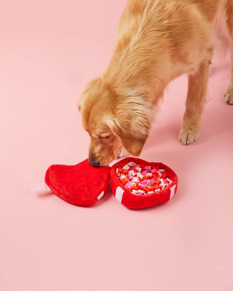 Be My Valentine Interactive Snuffle Dog Toy - Bark and Willow