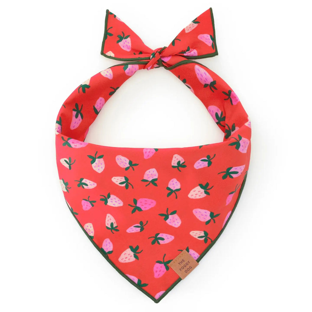 Berry Sweet Dog Bandana - Bark and Willow