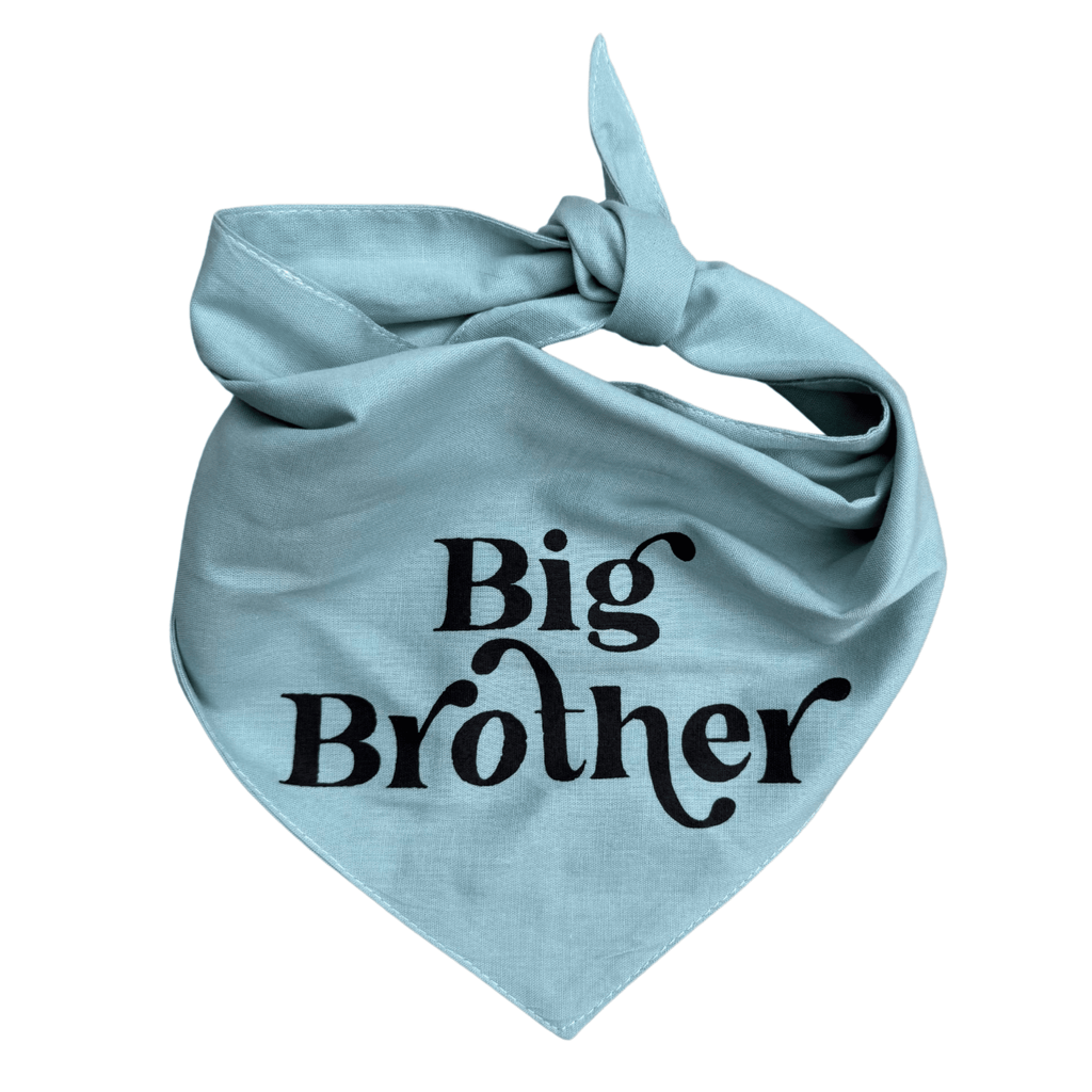 Big Brother Bandana - Bark and Willow