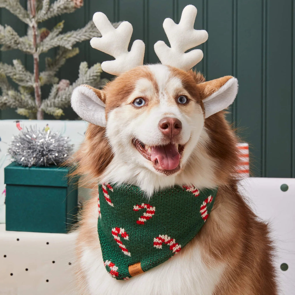 Candy Canes Knit Dog Bandana - Bark and Willow