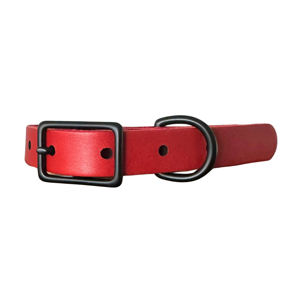 Chili Pepper Leather Dog Collar - Bark and Willow