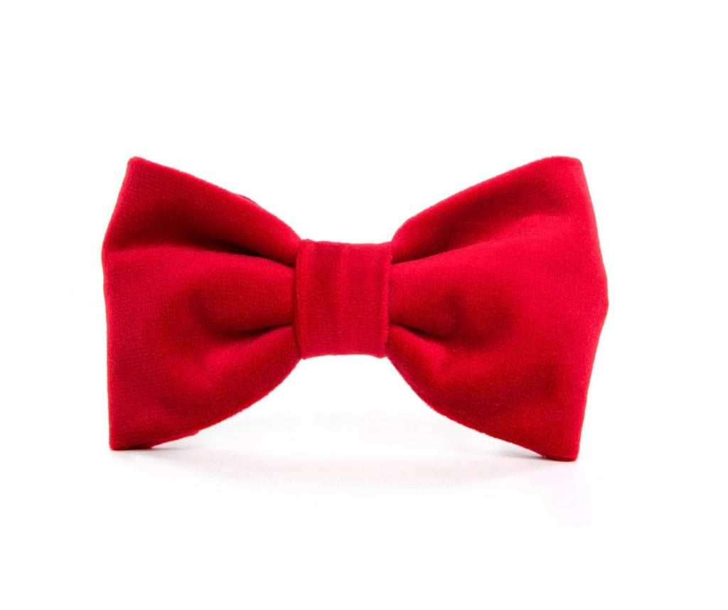 Cranberry Velvet Dog Bow Tie - Bark and Willow