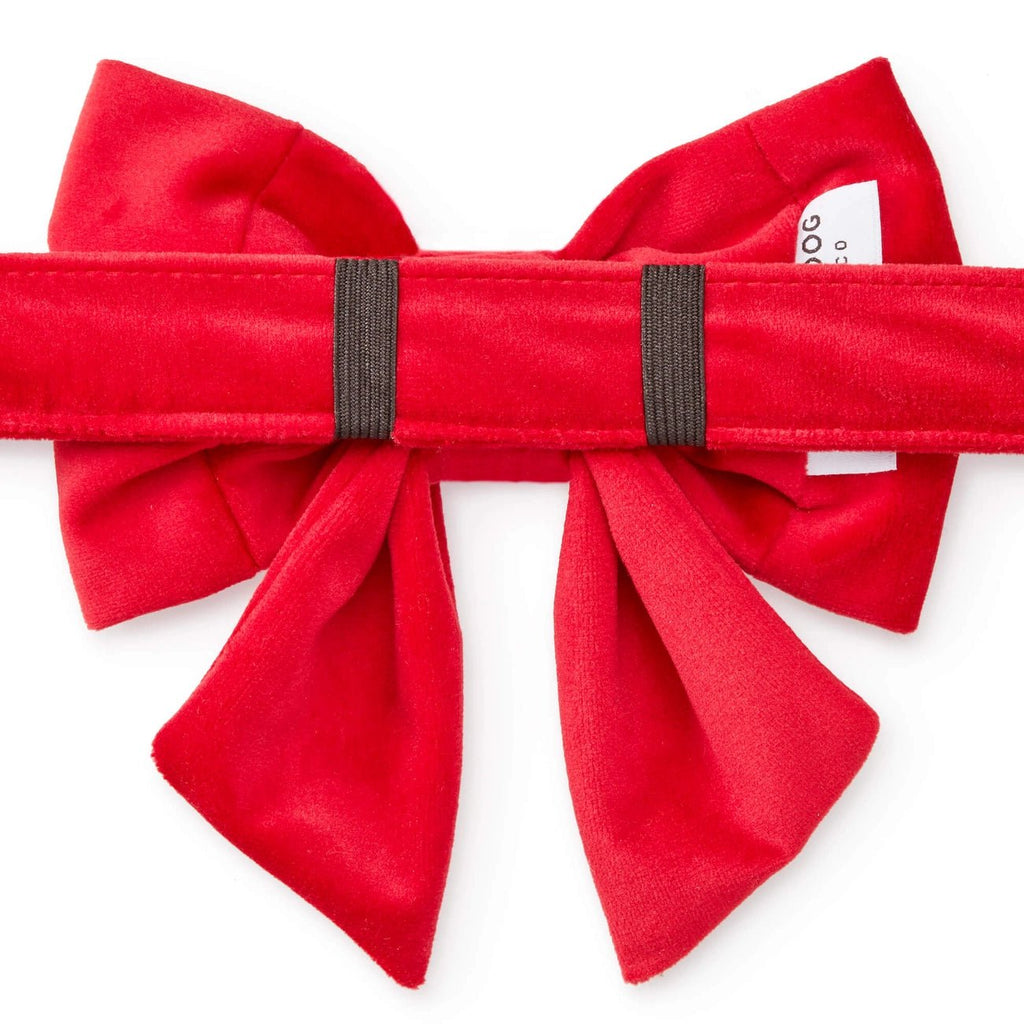 Cranberry Velvet Lady Dog Bow - Bark and Willow