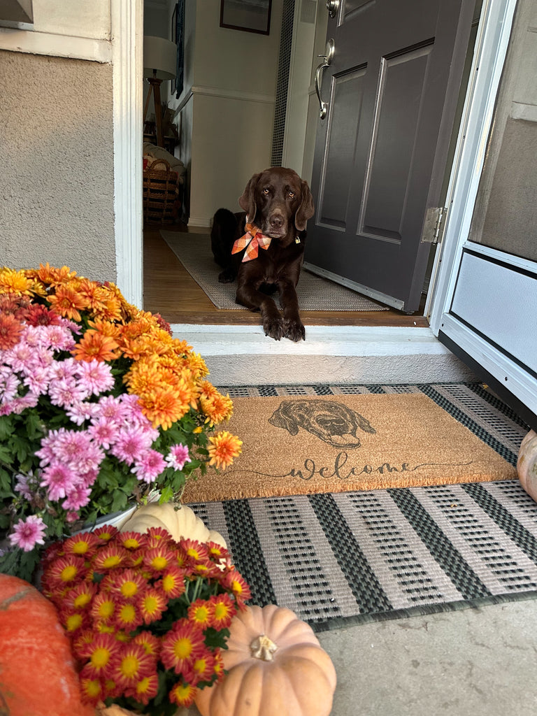 Custom Pet Portrait Doormat - Bark and Willow