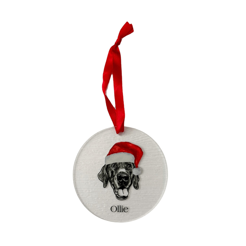 Custom Pet Portrait Frosted Acrylic Ornament - Bark and Willow