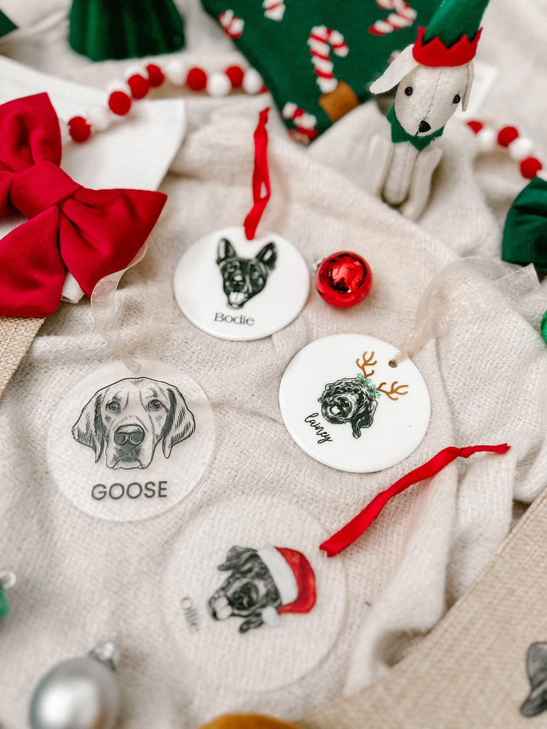 Custom Pet Portrait Frosted Acrylic Ornament - Bark and Willow