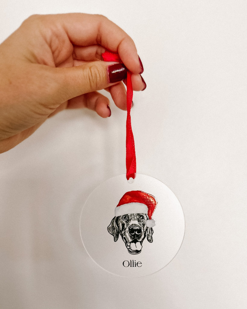 Custom Pet Portrait Frosted Acrylic Ornament - Bark and Willow