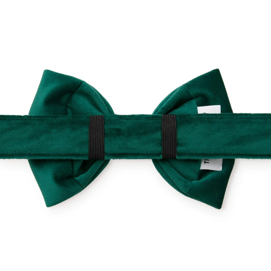 Forest Green Velvet Holiday Dog Bow Tie - Bark and Willow