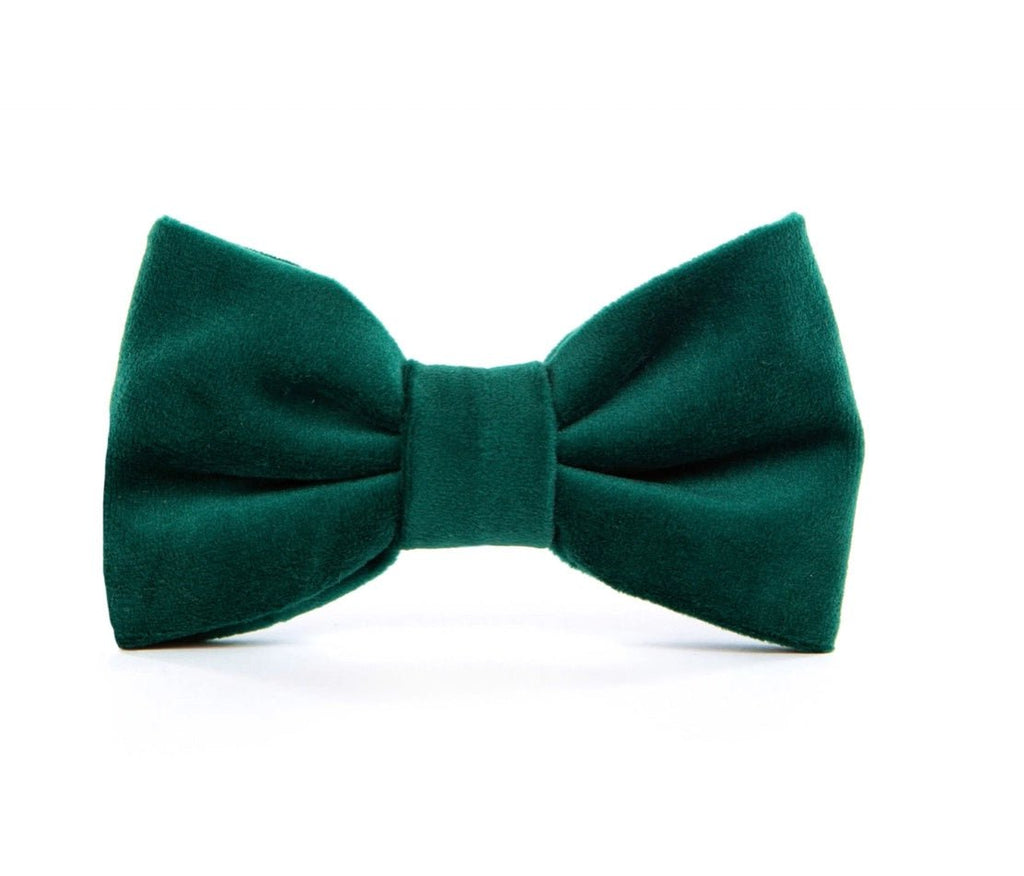 Forest Green Velvet Holiday Dog Bow Tie - Bark and Willow