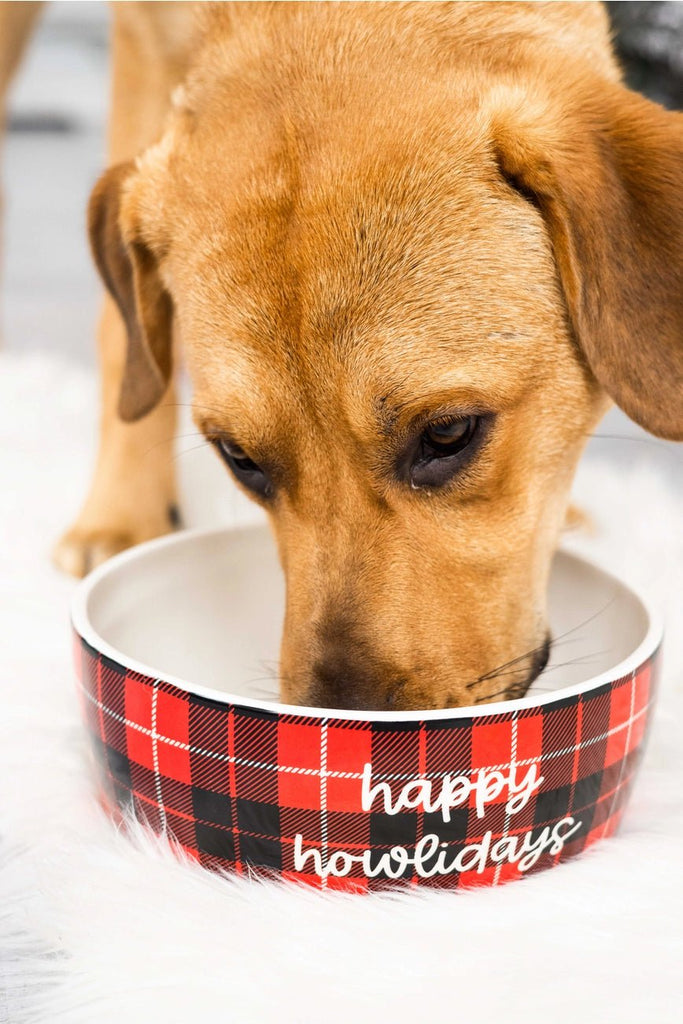 "Happy Howlidays" Holiday Ceramic Dog Bowl, Large - Bark and Willow