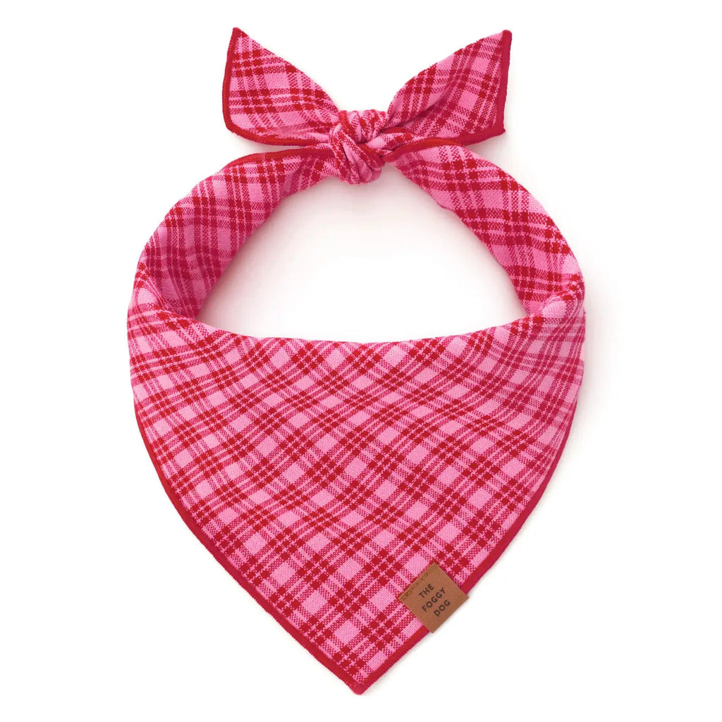 Heather Taylor Home x TFD Katherine Plaid Valentine Dog Bandana - Bark and Willow