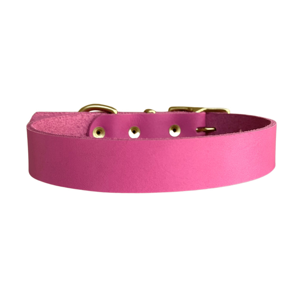 Hot Pink Leather Collar - Bark and Willow