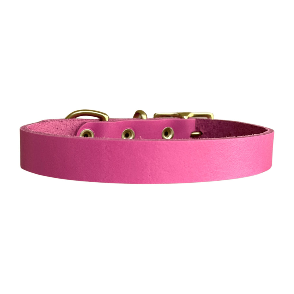 Hot Pink Leather Collar - Bark and Willow