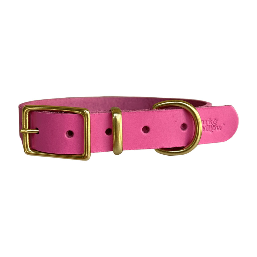 Hot Pink Leather Collar - Bark and Willow