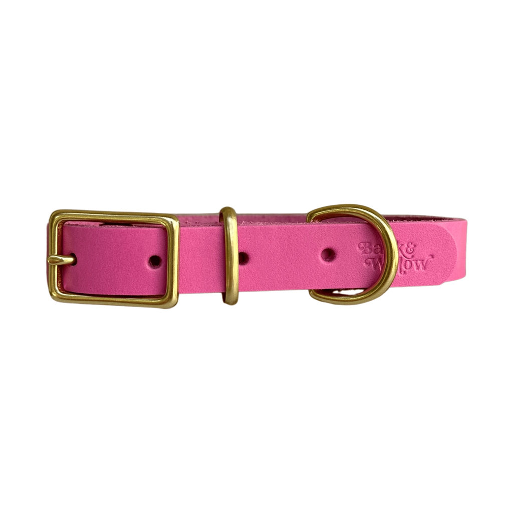 Hot Pink Leather Collar - Bark and Willow