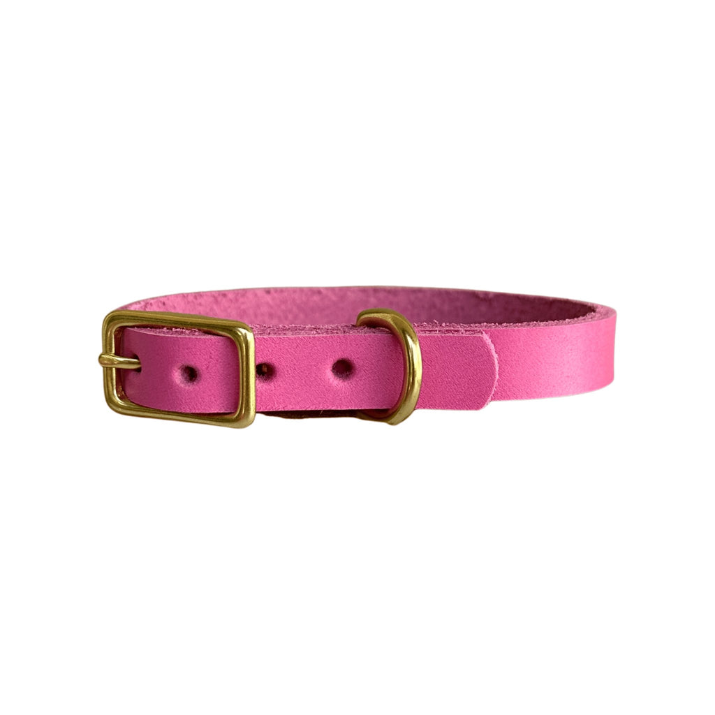 Hot Pink Leather Collar - Bark and Willow