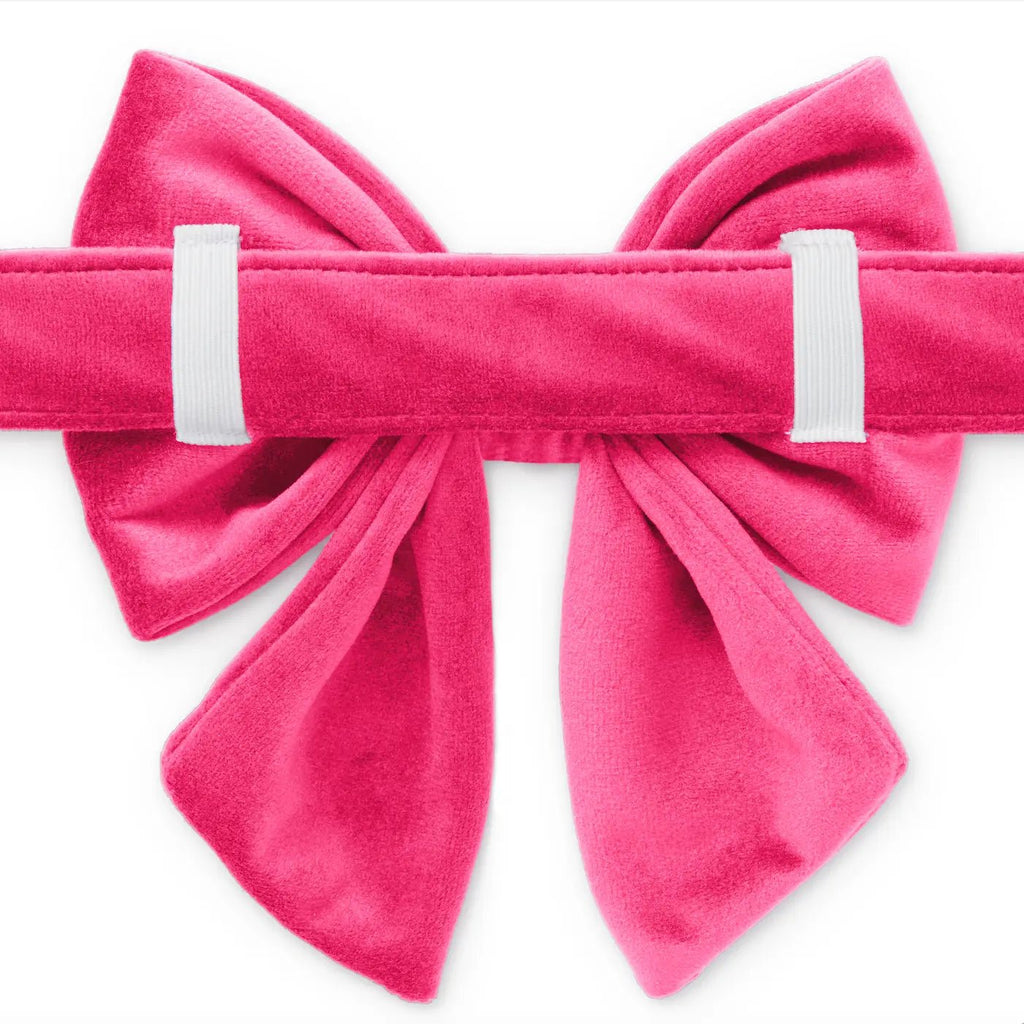 Hot Pink Velvet Sailor Bow - Bark and Willow