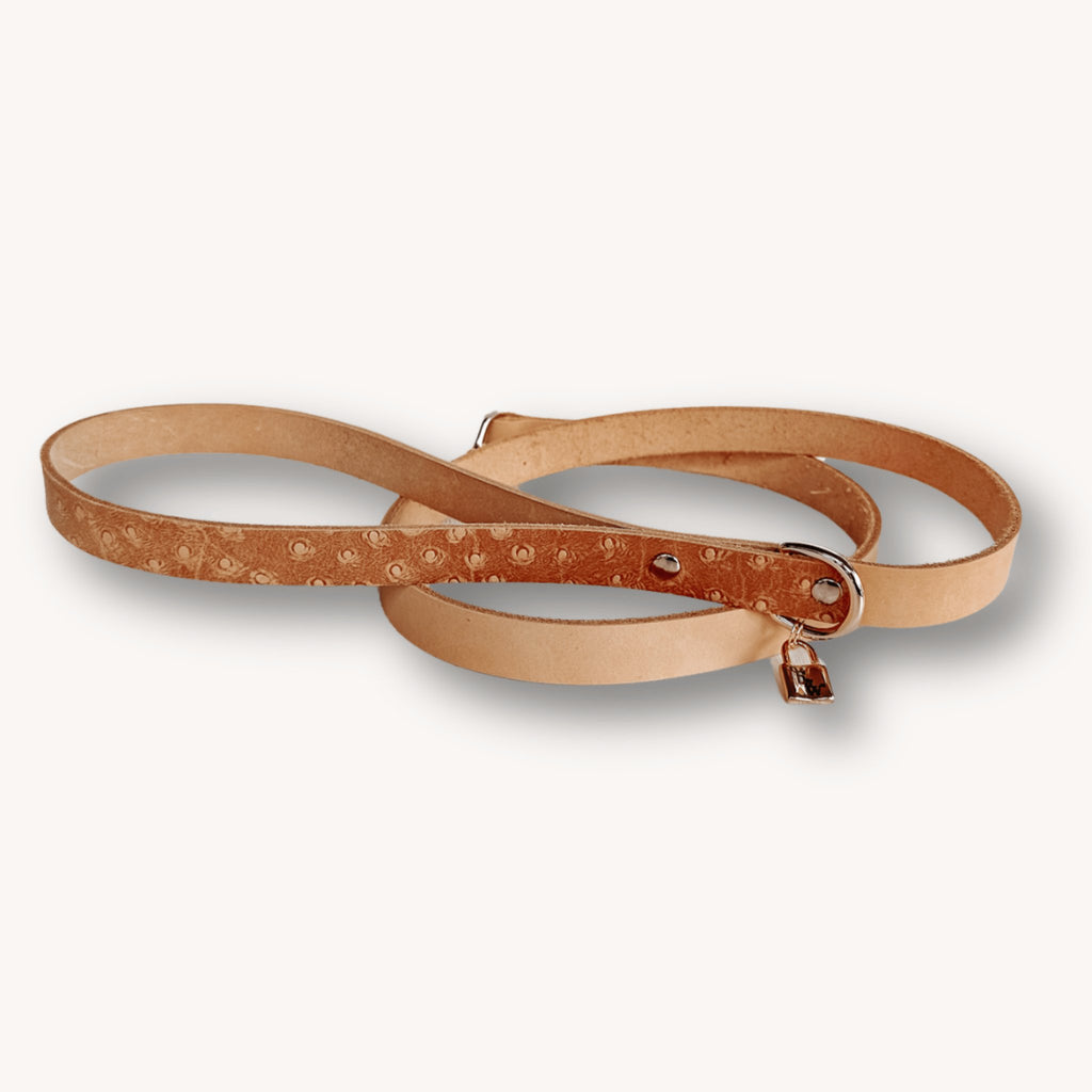 Jane Luxury Ostrich Leather Dog Leash - Bark and Willow
