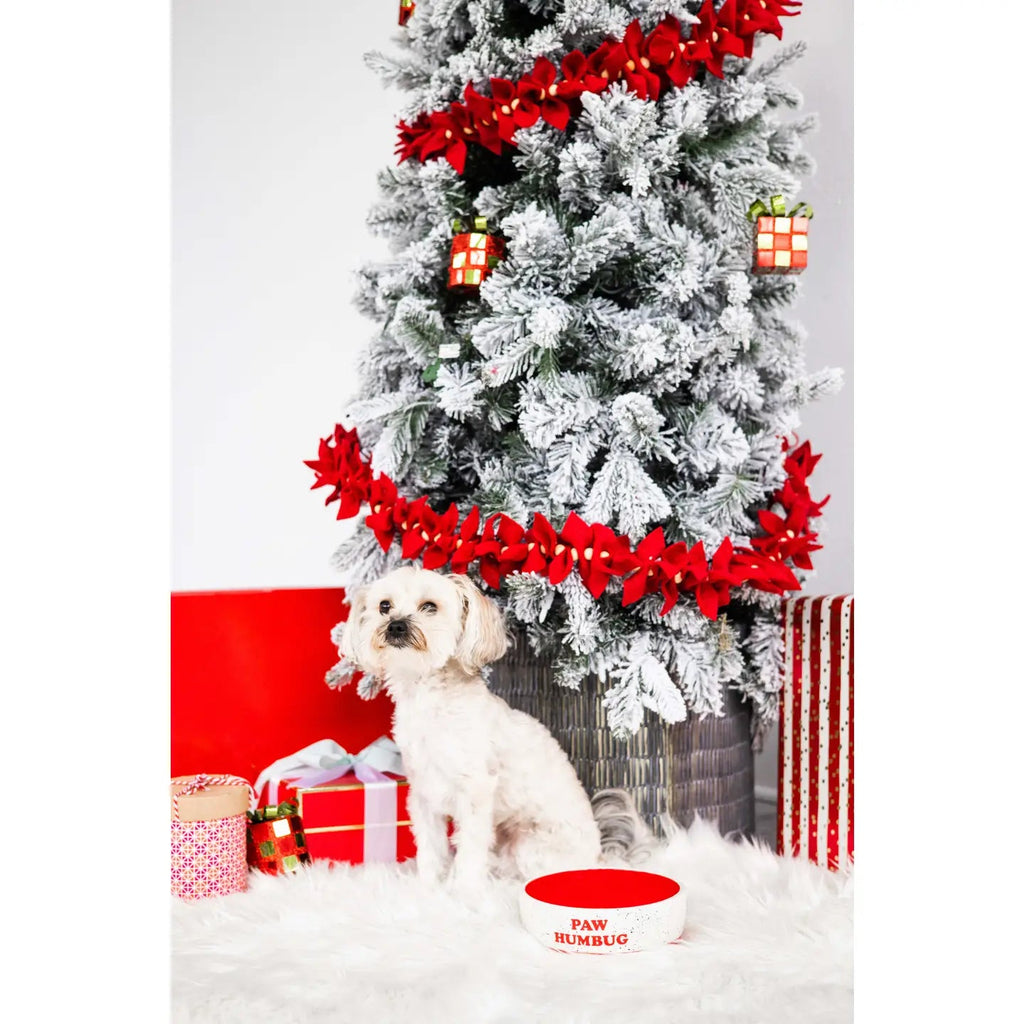 "Paw Humbug" Holiday Ceramic Dog Bowl, Medium - Bark and Willow