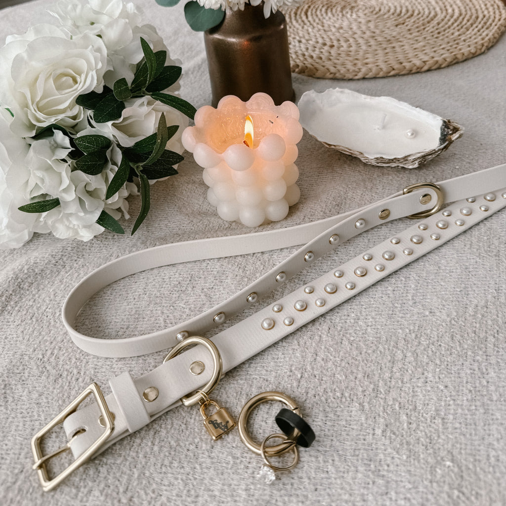 Paws & Pearls Complete Set - Bark and Willow