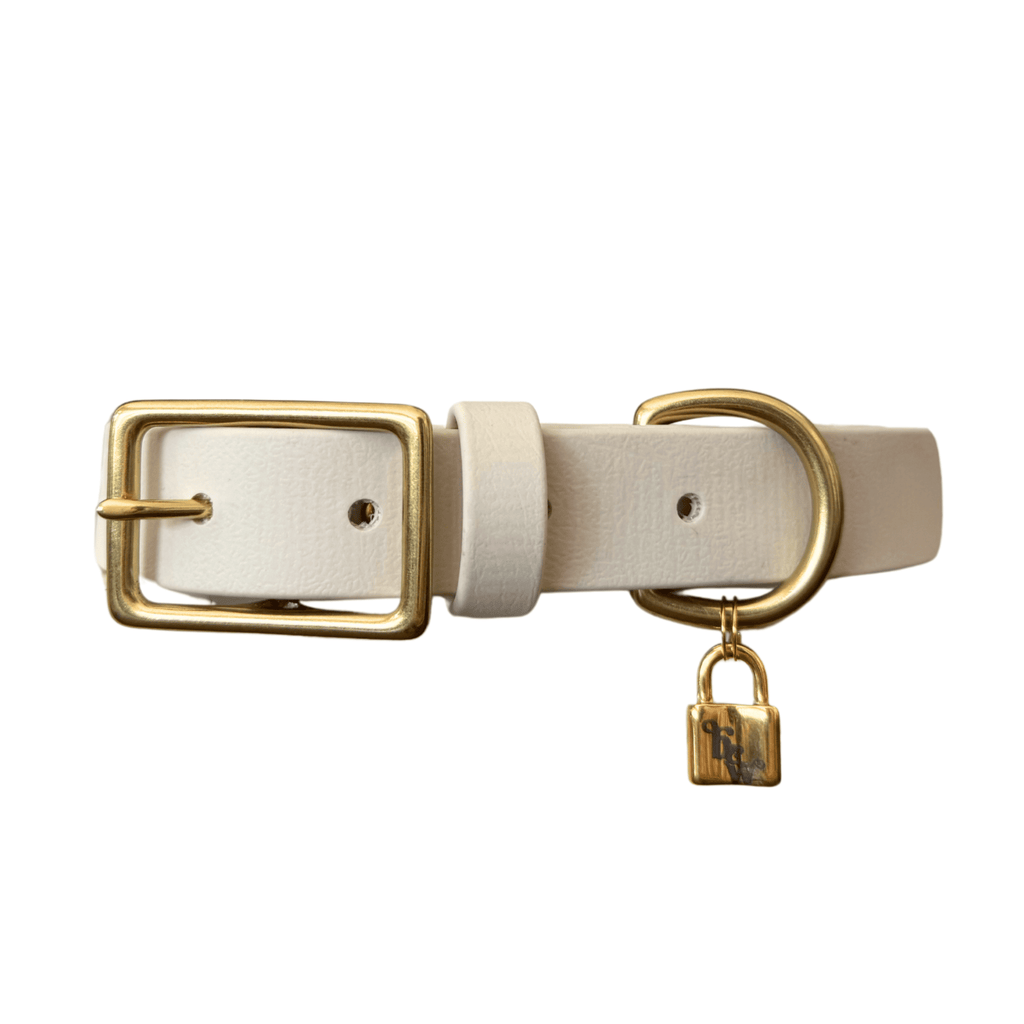 Paws & Pearls Dog Collar - Bark and Willow