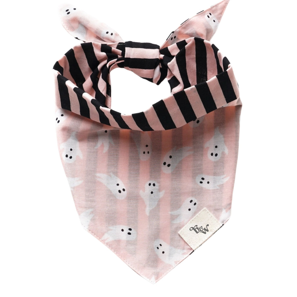 Pink Ghosts Reversible Bandana - Bark and Willow