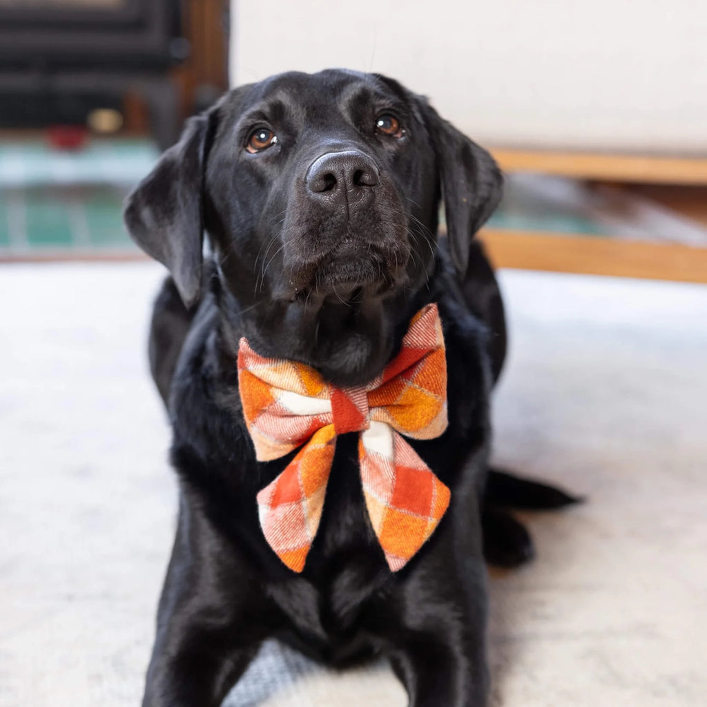 Pumpkin Spice Fall Flannel Sailor Bow - Bark and Willow