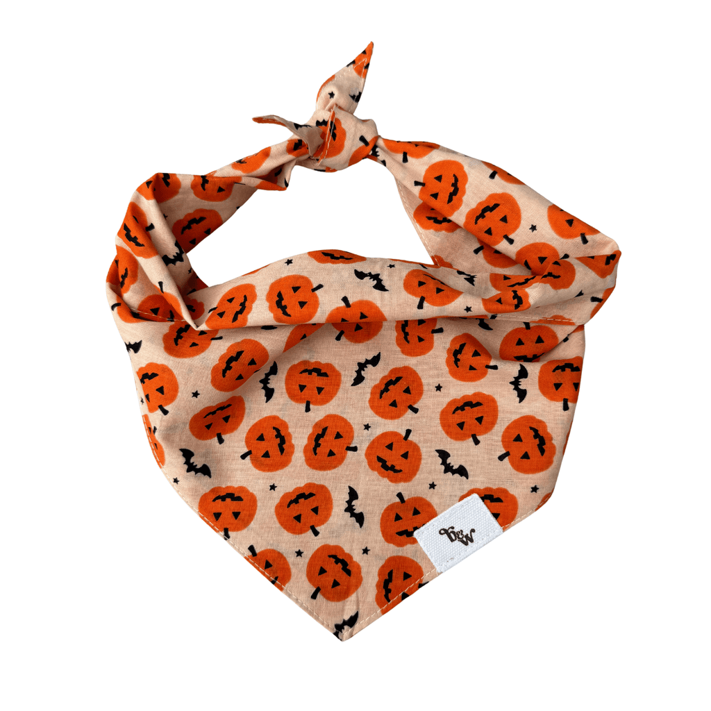 Pupkin Patch Bandana - Bark and Willow
