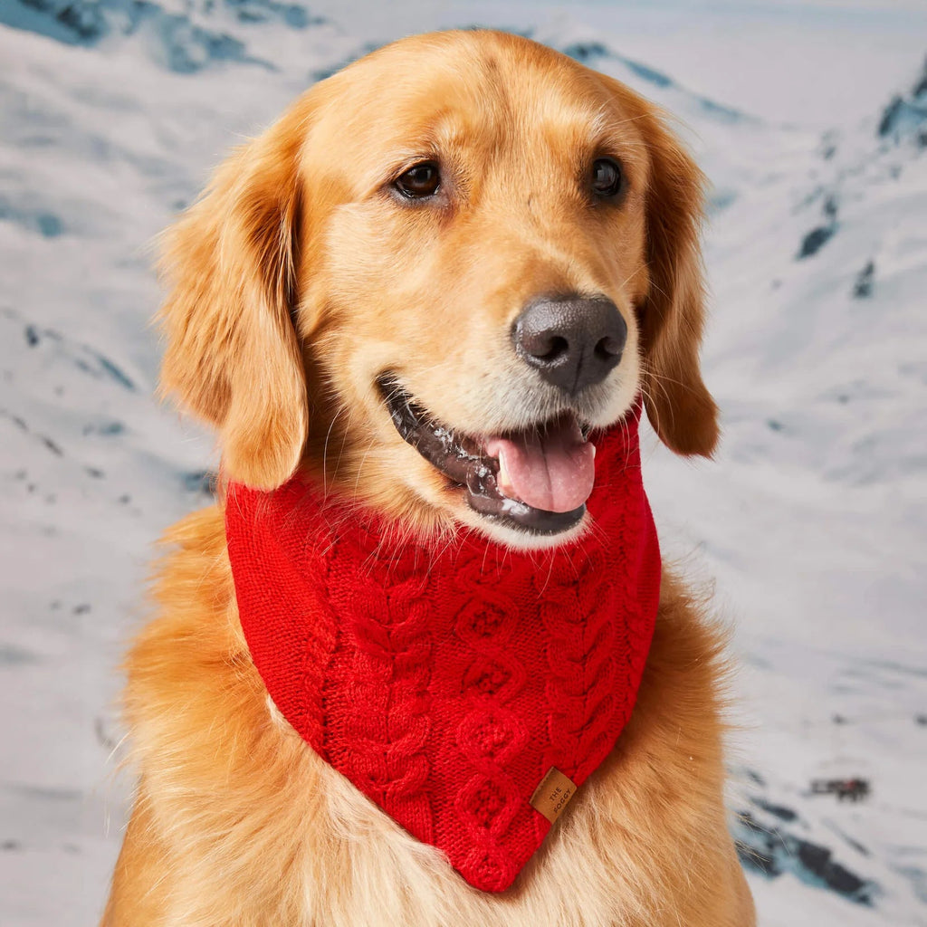 Red Cable Knit Dog Bandana - Bark and Willow