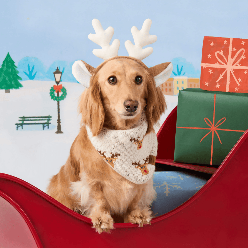 Reindeer Knit Dog Bandana - Bark and Willow