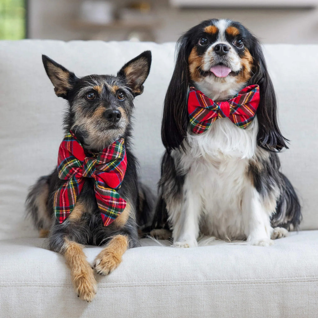 Tartan Plaid Flannel Christmas Lady Dog Bow - Bark and Willow