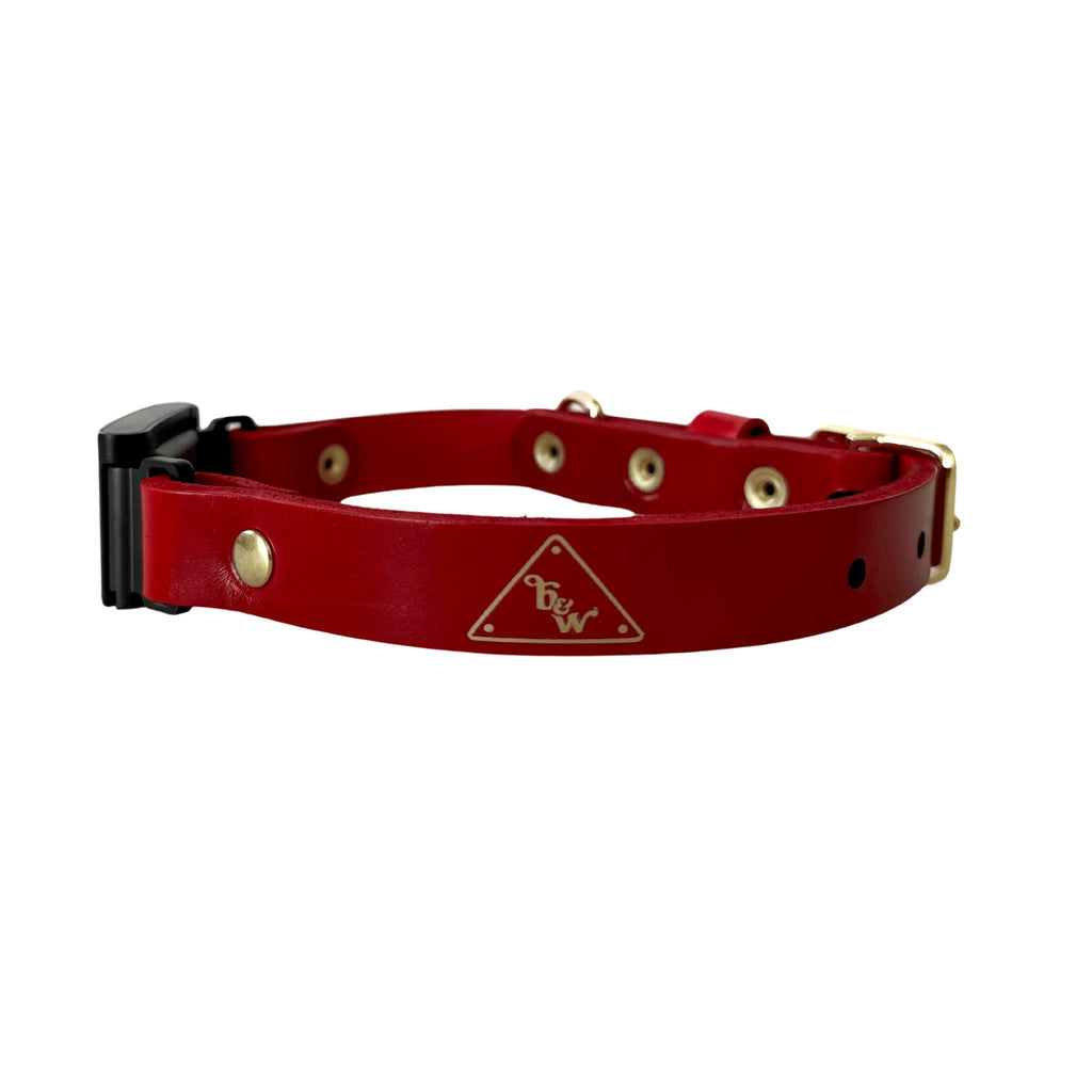 The Cleo Collar (Fi Series 3) Sample Sale - Bark and Willow