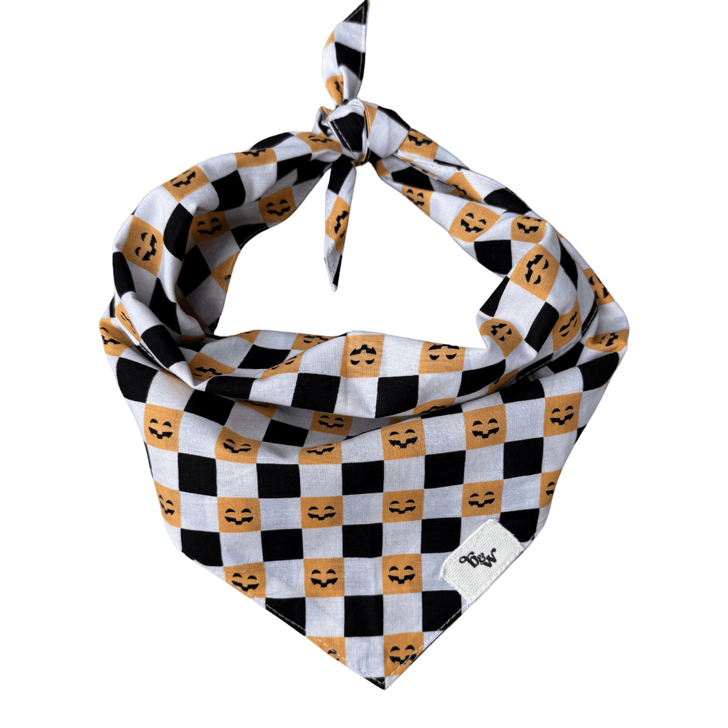 Trick or Treat Bandana - Bark and Willow