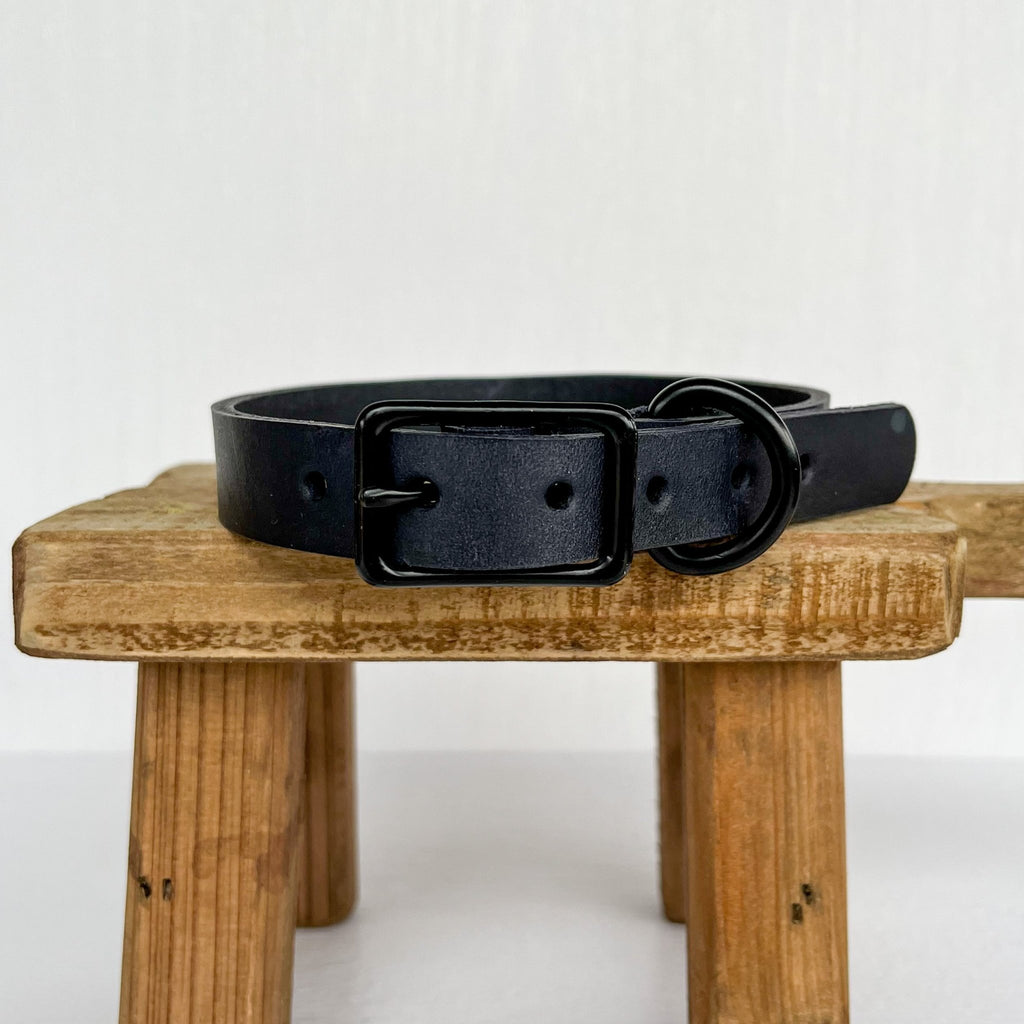 Black Leather Dog Collar - Bark and Willow