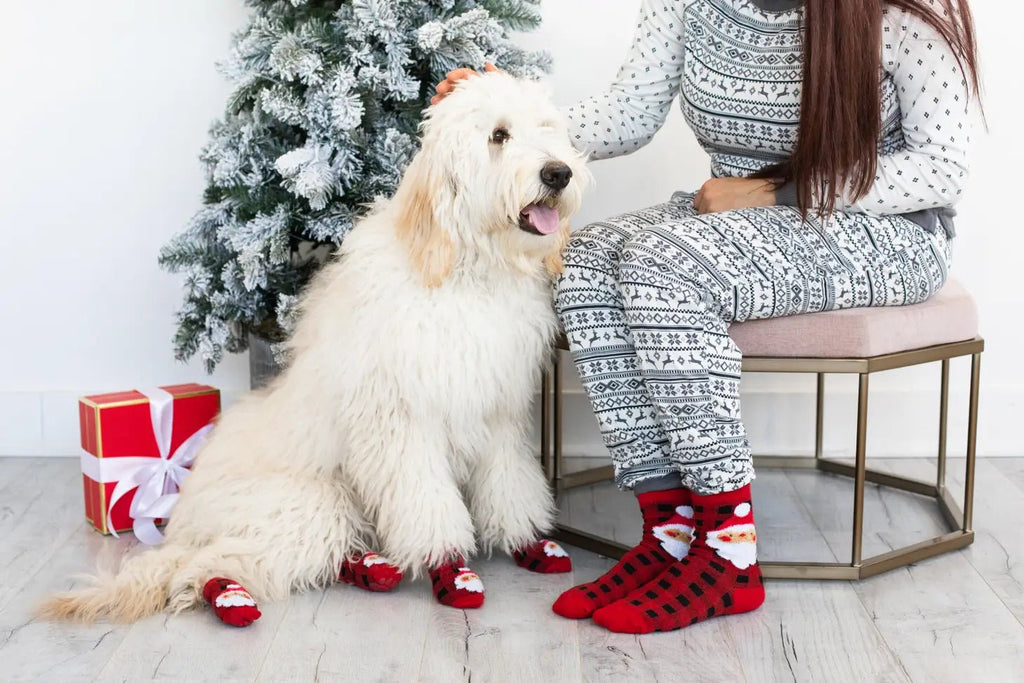 Human and Dog Sock Set Buffalo Check Santa - Bark and Willow