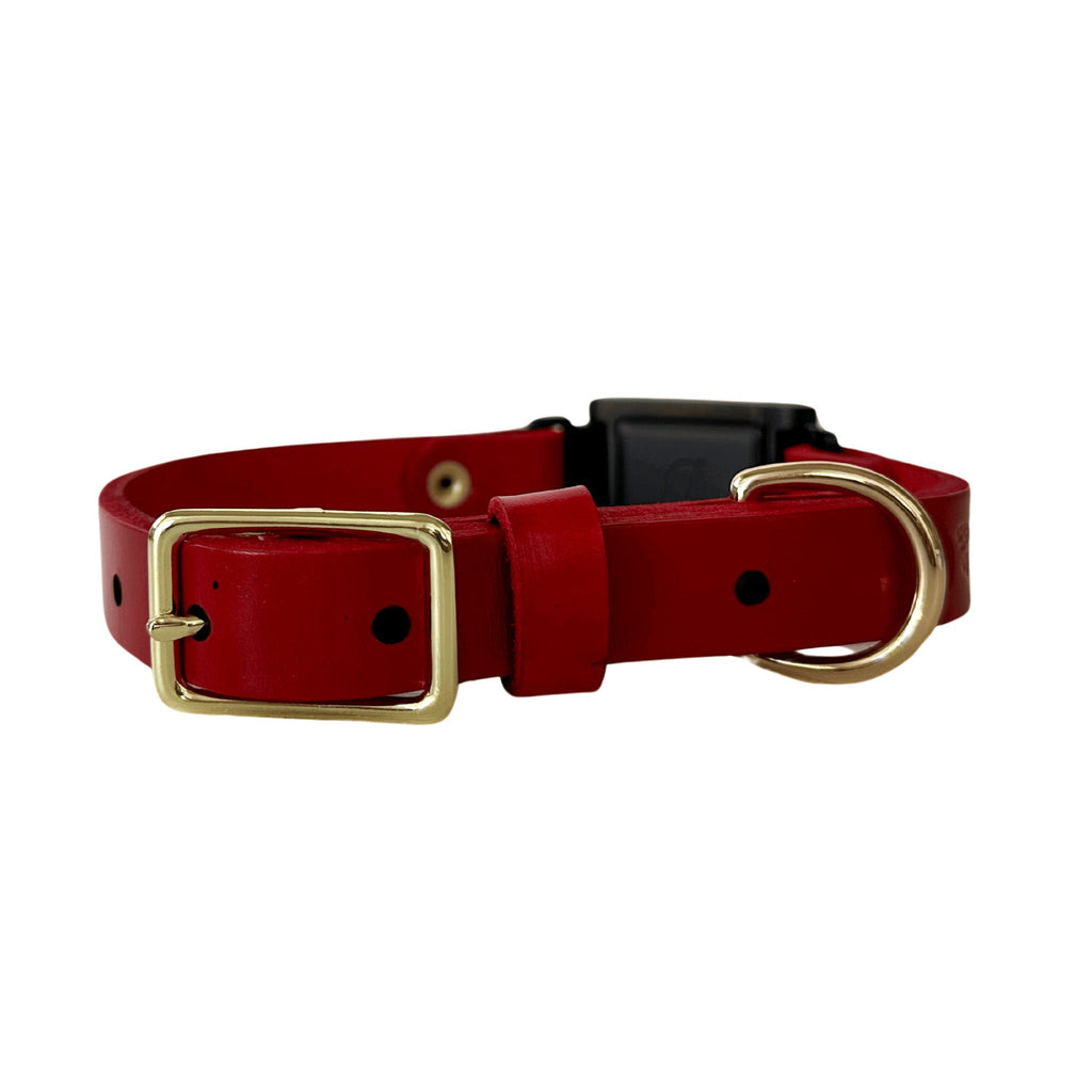 The Cleo Collar (Fi Series 3) - Bark and Willow